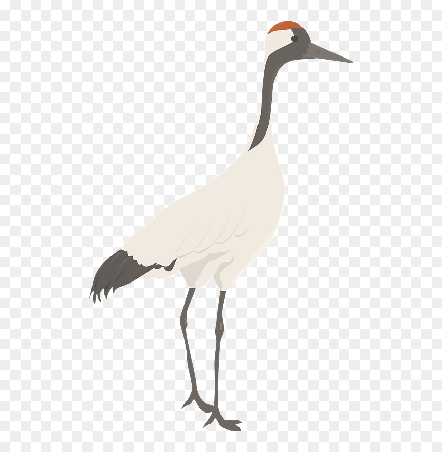 Crane Clipart - Goose, HD Png Download - crane bird png