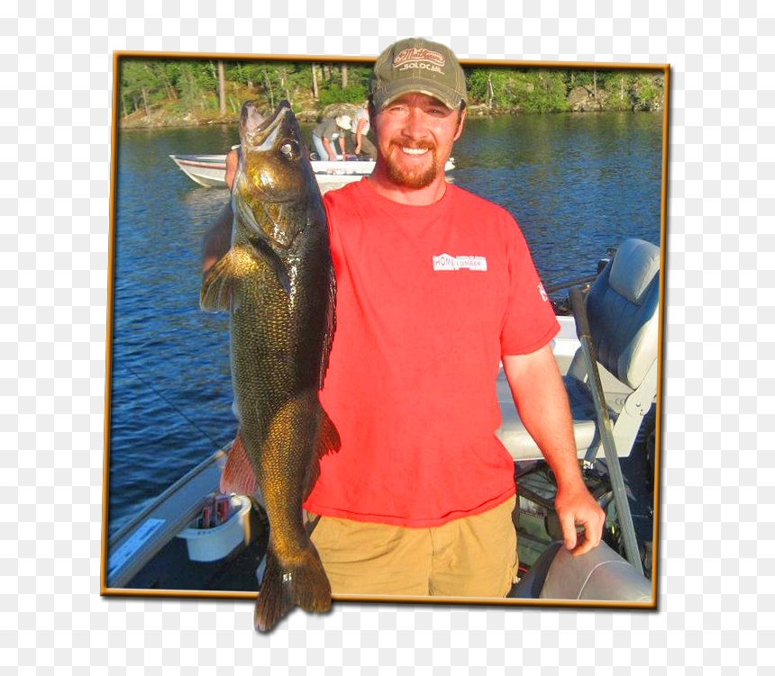 Atikokan Is One Of The Hottest Walleye Fishing Destinations - Touladi, HD Png Download - walleye png