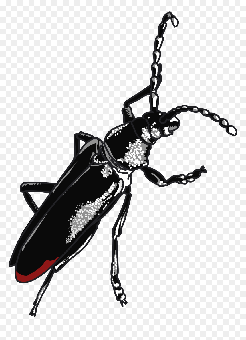 Capricorn Clip Arts - Grand Capricorne Svg, HD Png Download - capricorn png