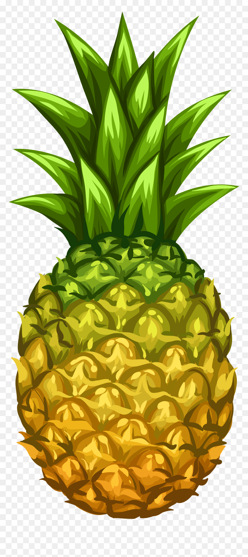 Clip Art Image Gallery - Clip Art Fruit Pineapple, HD Png Download - tumblr pineapple png