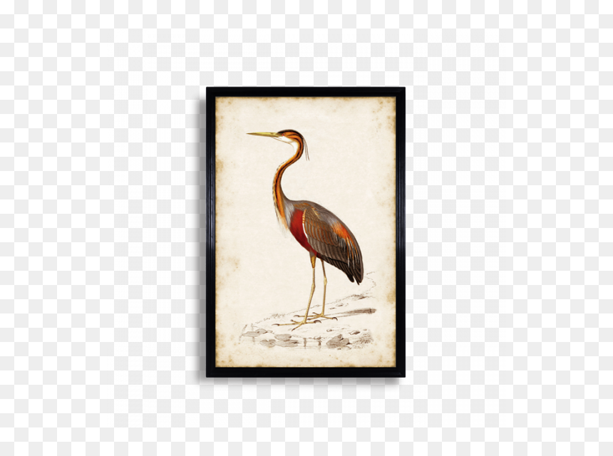 Crane, HD Png Download - crane bird png