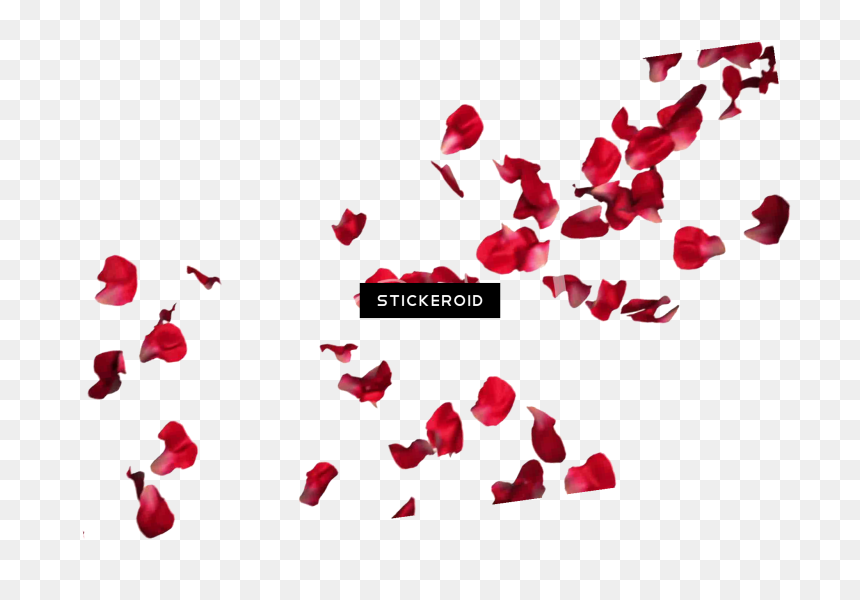 Rose Petals Flowers - Red Rose Petals Png, Transparent Png - red rose petals png