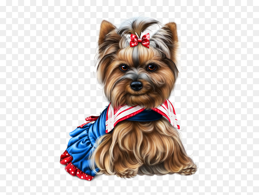 Yorkie 4th Of July 8 - Dog, HD Png Download - yorkie png