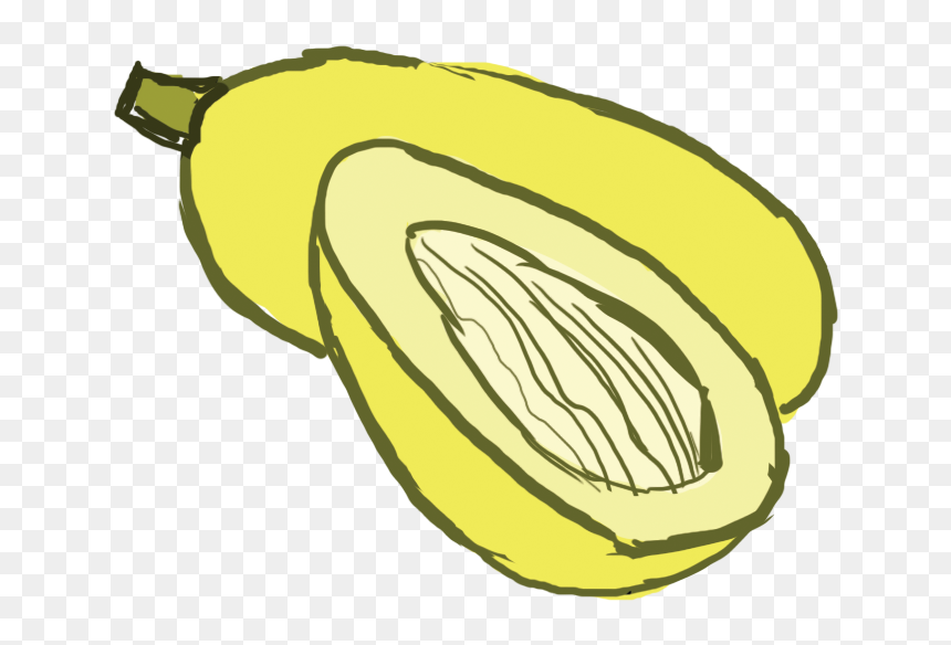 Collection Of Squash - Spaghetti Squash Clip Art, HD Png Download - spaghetti clipart png