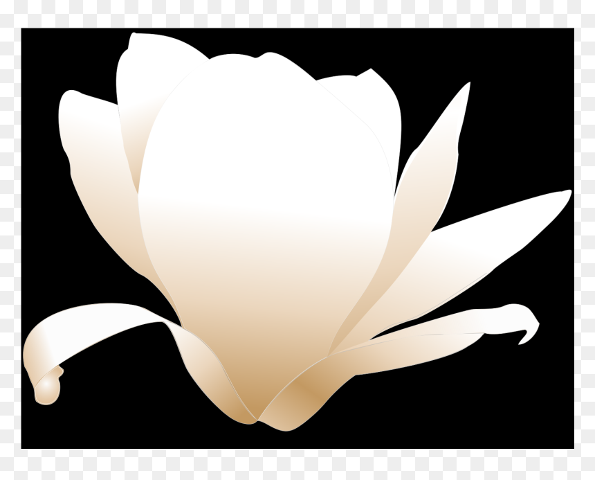 Magnolia Clip Art, HD Png Download - magnolia tree png