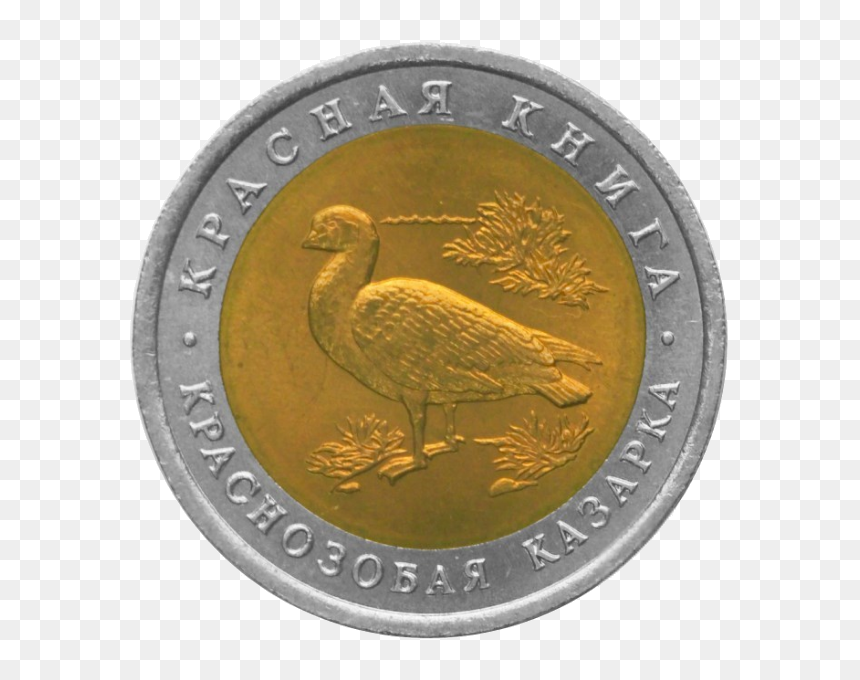 Rr5514-0002r Краснозобая Казарка - Coin, HD Png Download - crane bird png