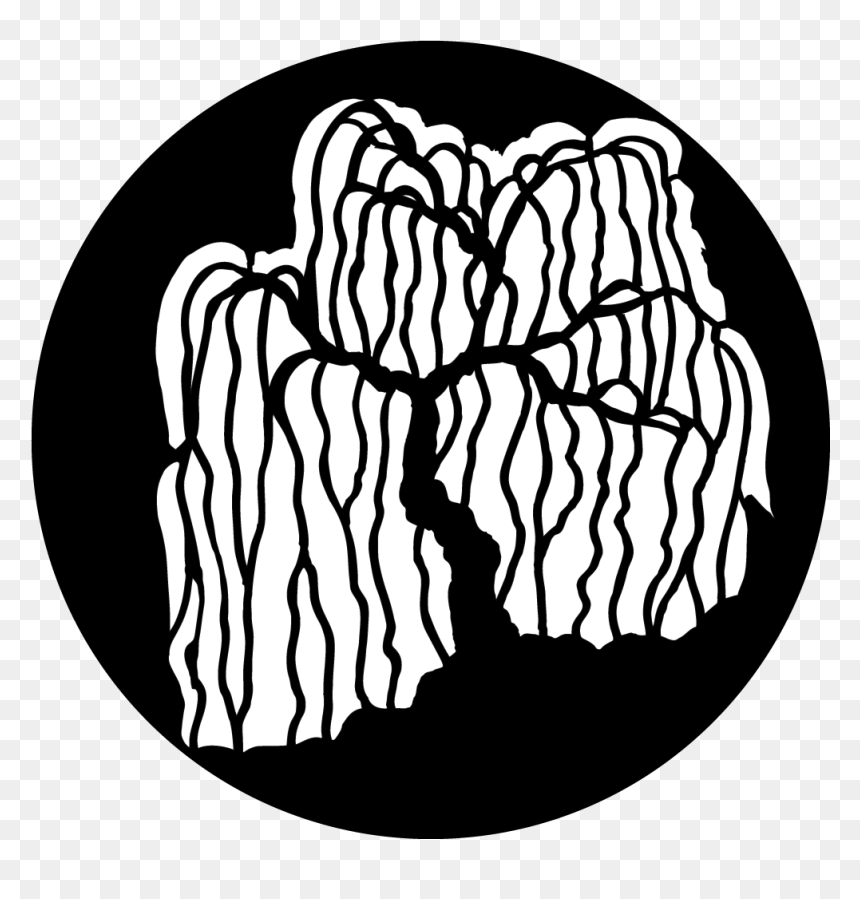 Willow Drawing Design - Drawing, HD Png Download - weeping angel png