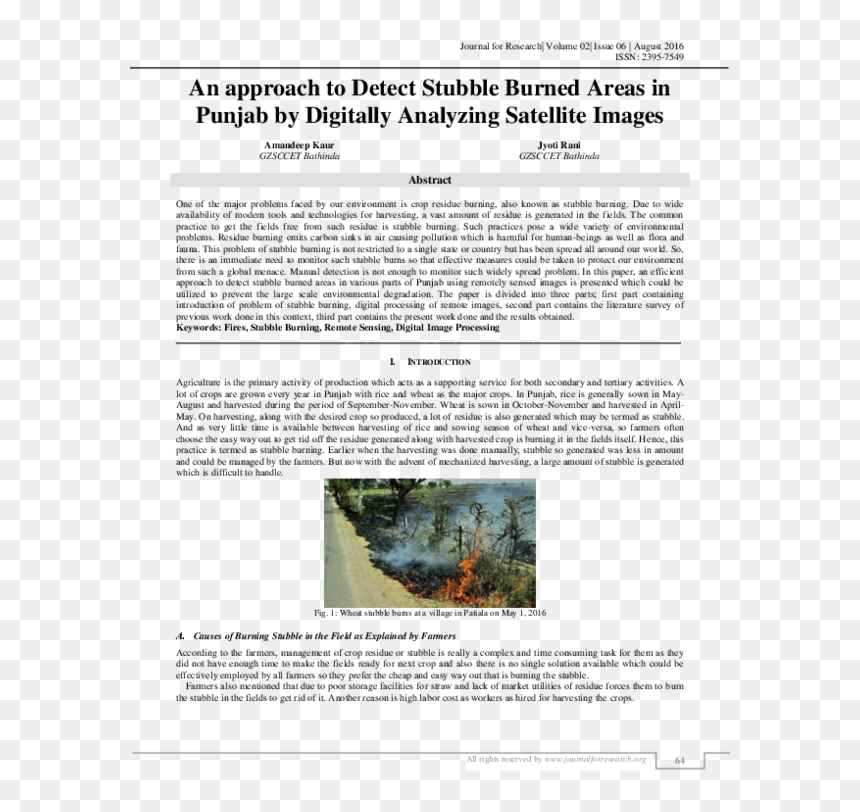 An Approach To Detect Stubble Burned Areas In Punjab - Untitled, Tailpiece, Pg. 135, In The Book Dingo By, HD Png Download - stubble png