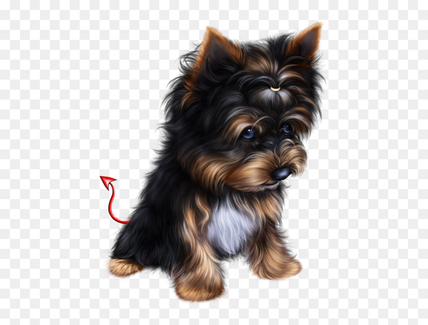 Free Yorkie Halloween Clipart Png Freeuse Tube Halloween - Siberian Husky Y Golden Retriever, Transparent Png - yorkie png
