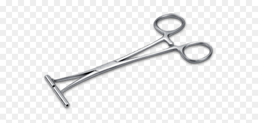 Tongs, HD Png Download - septum piercing png