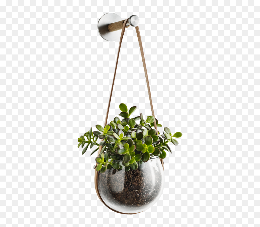 Design With Light Hanging Pot And Peg By Holmegaard"

 - Flower In A Flower Pot Png, Transparent Png - hanging light bulb png