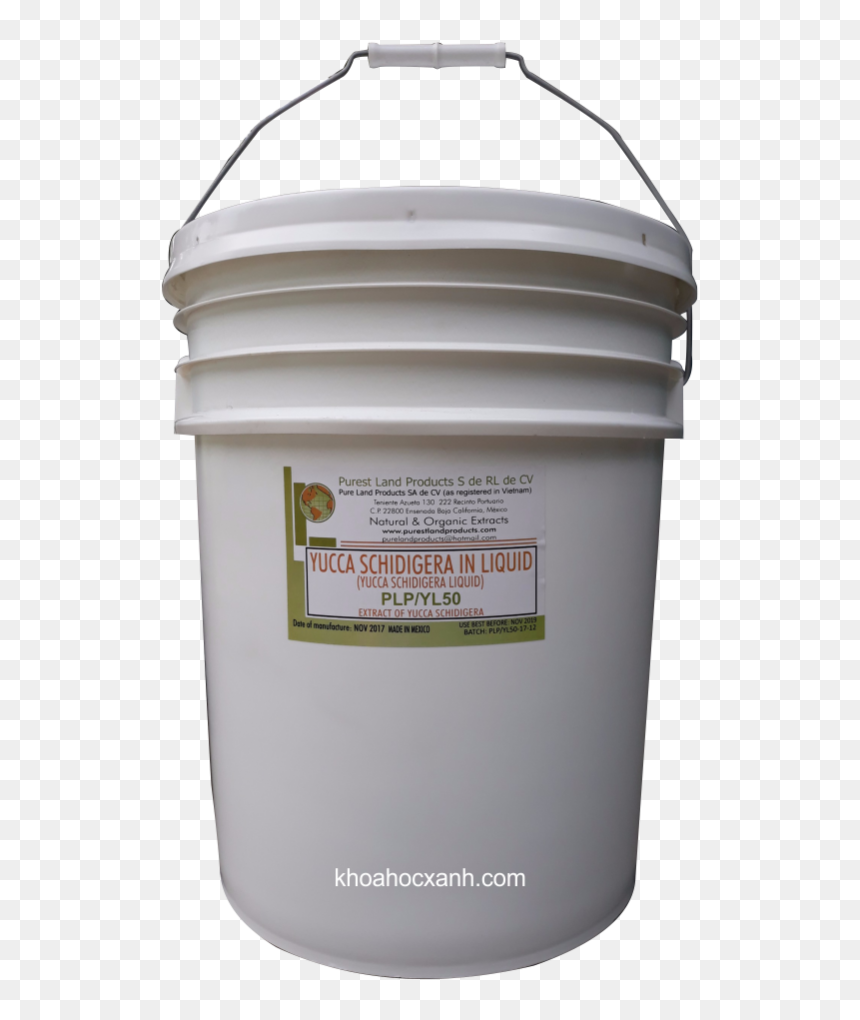 Yucca Schidigera Extract - Yucca Schidigera Liquid, HD Png Download - yucca png