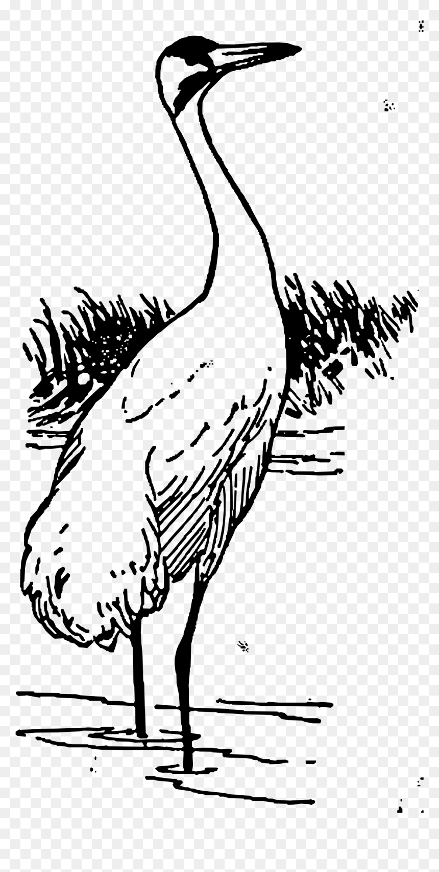 Whooping Crane Clip Arts - Clipart Black And White Crane, HD Png Download - crane bird png