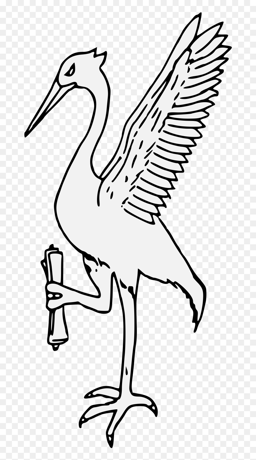 Ciconiiformes, HD Png Download - crane bird png