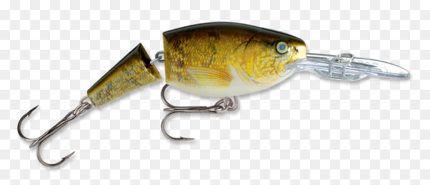 Write A Review - Shad Rap Jointed Lures, HD Png Download - walleye png