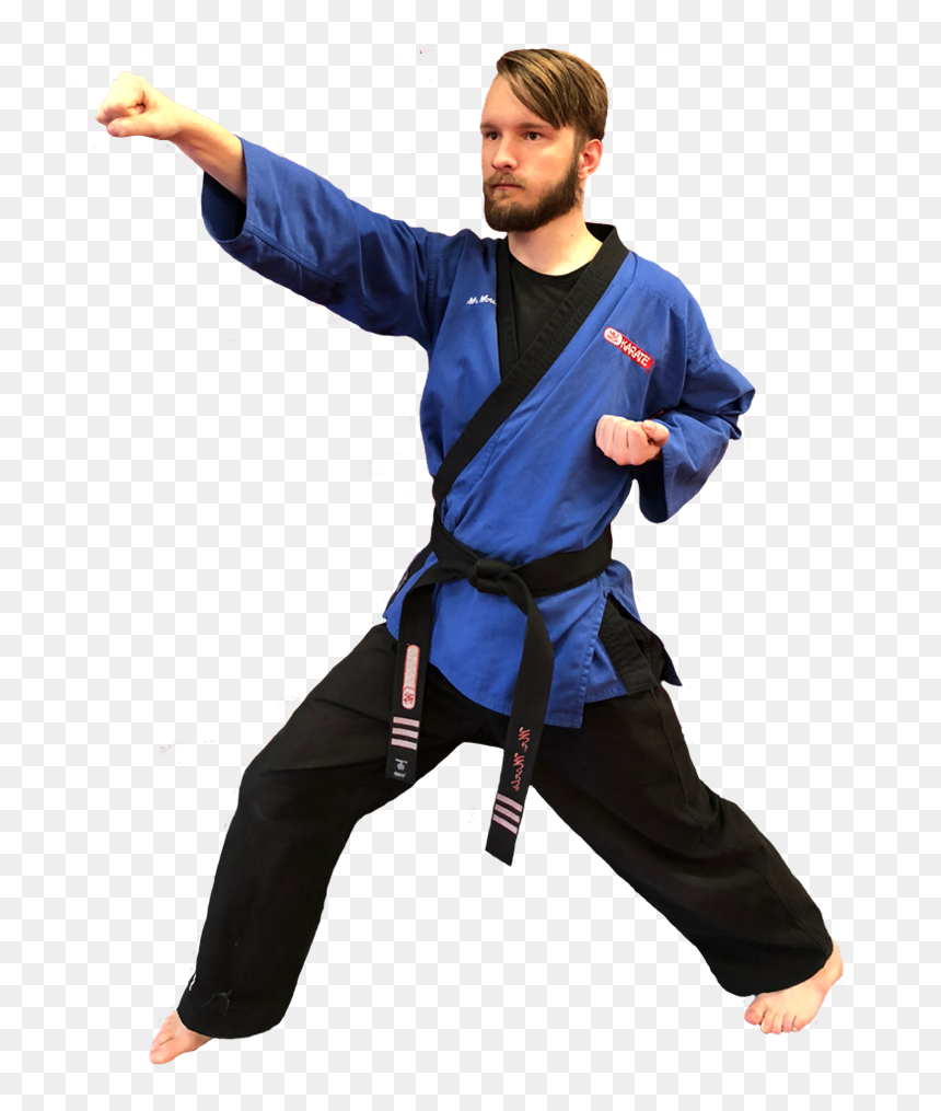 Transparent Martial Arts Png - Punch Kung Fu Png, Png Download - martial arts png