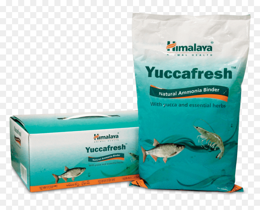 Yucca Fresh - Shark, HD Png Download - yucca png