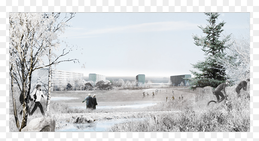 Kristine Jensens Tegnestue, Ecosistemaurbano - Tree, HD Png Download - city landscape png