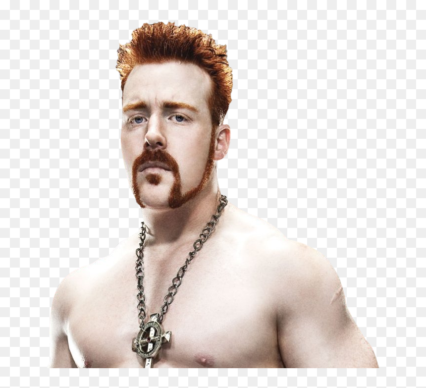 Wwe Royal Rumble 2012 Dvd , Png Download - Wwe Royal Rumble Posters, Transparent Png - sheamus png