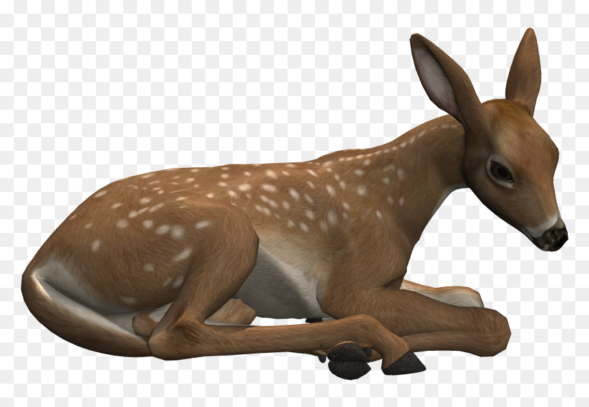 Fawn Png Page - Deer Lying Down Png, Transparent Png - fawn png