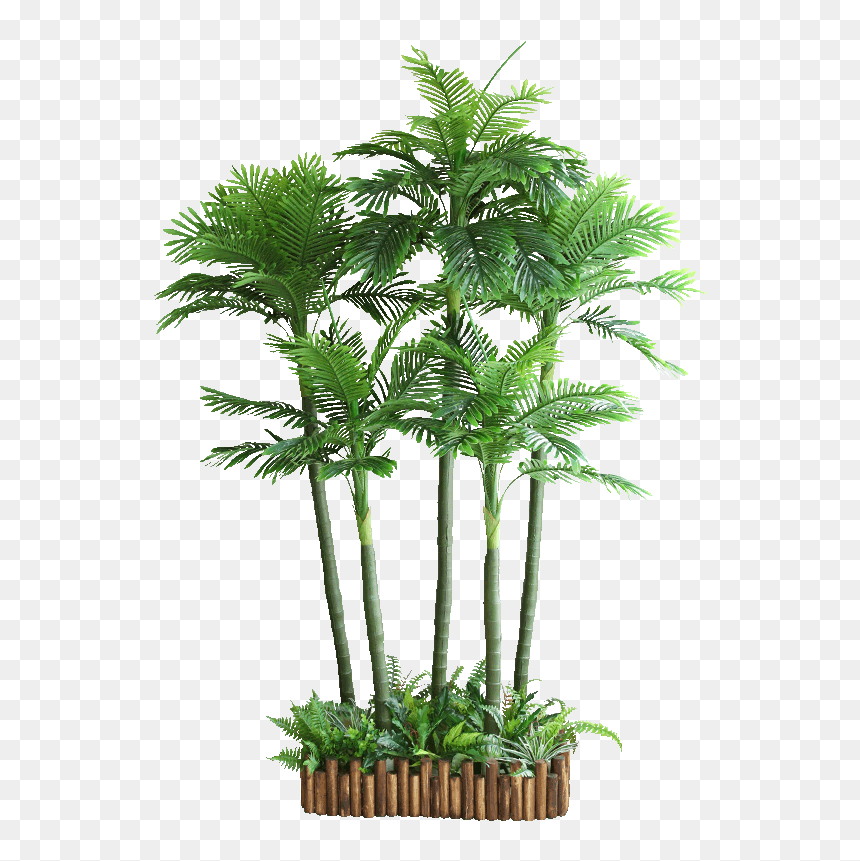 House Plant Cut Out, HD Png Download - indoor plant png