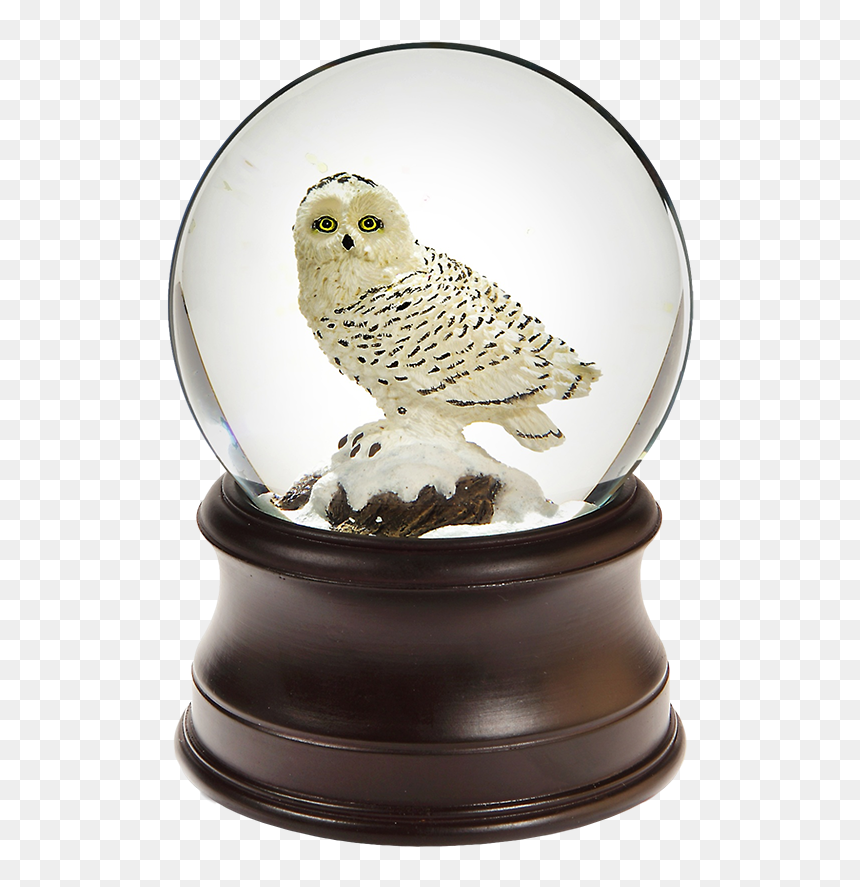 Snowy Owl Snow Globe, HD Png Download - empty snow globe png