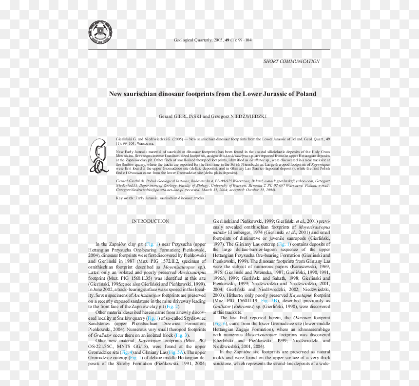 Character Traits For Alex Lin, HD Png Download - dinosaur footprint png