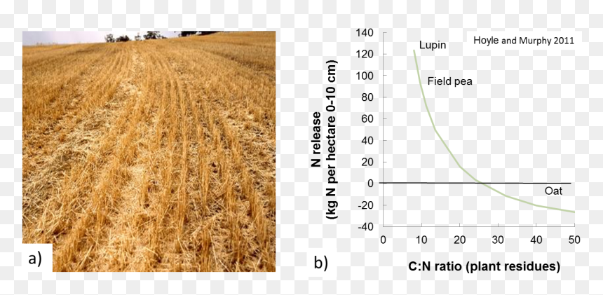 High Stubble Loads On The Left And Graph Illustrating - Carbon-to-nitrogen Ratio, HD Png Download - stubble png