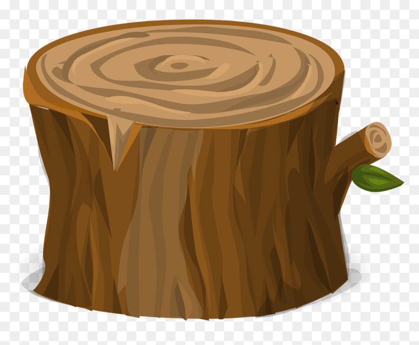 Forest, Tree Trunk Nature Environment Chopped Bark - Tree Stump Transparent Background, HD Png Download - tree bark png