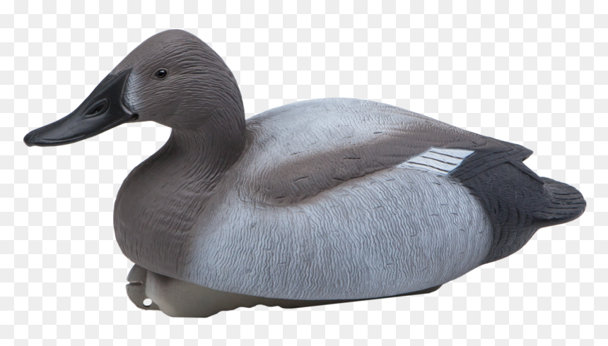 Mallard Goose Decoy Canvasback Duck - Greater Scaup, HD Png Download - duck hunt duck png