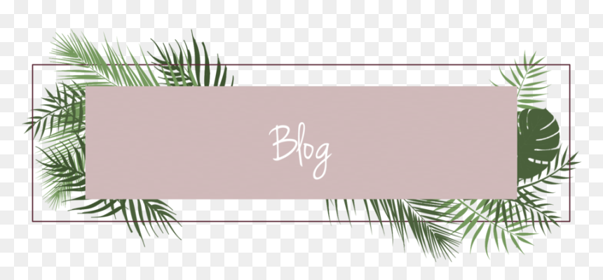 Dtc Banners Blog - Eyelash Extensions, HD Png Download - yucca png