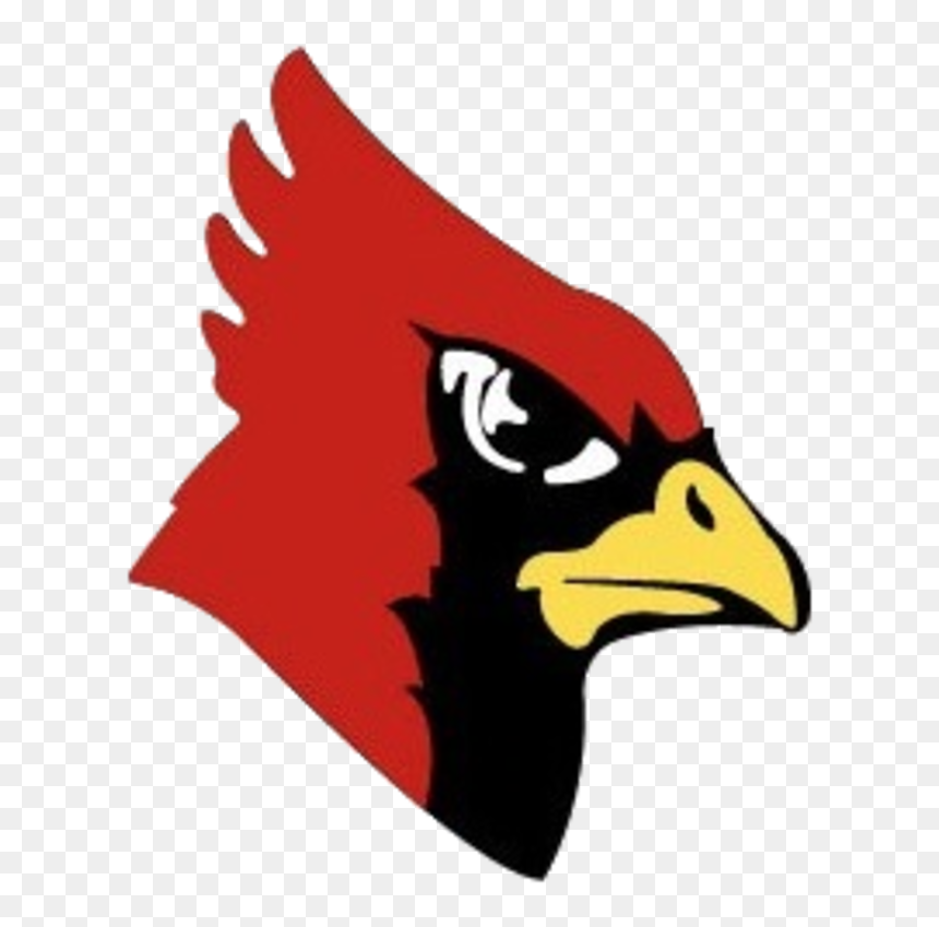 Yellow Medicine East Sting Play Redwood Valley Cardinals - Redwood Valley High School Cardinal, HD Png Download - cardinals png