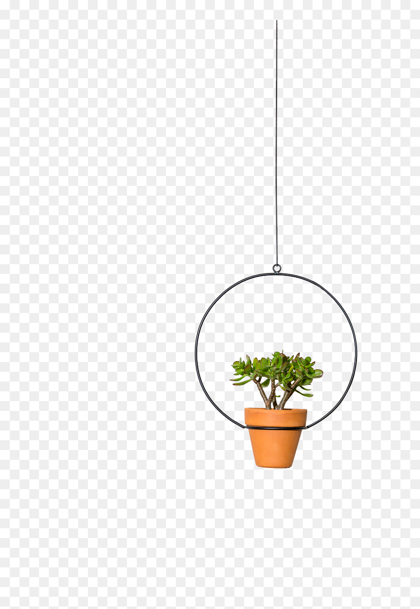 Img - Houseplant, HD Png Download - indoor plant png