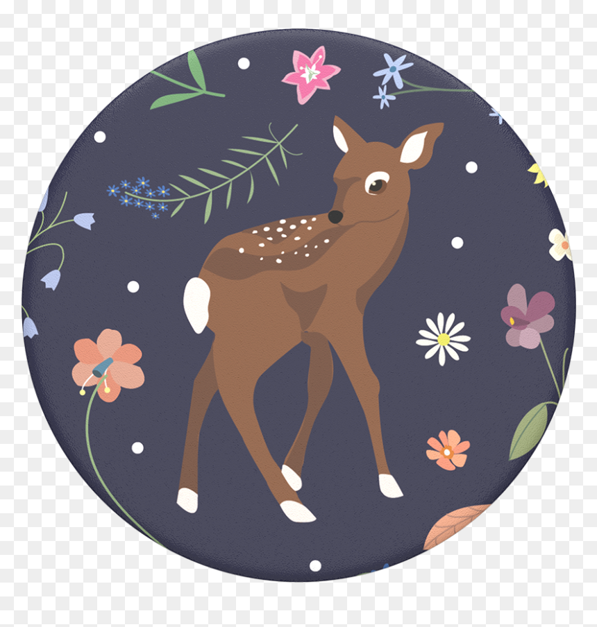 Fawn John, Popsockets - White-tailed Deer, HD Png Download - fawn png