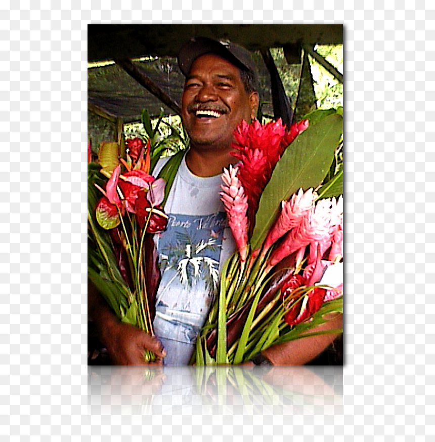 Red Ginger, HD Png Download - hawaiian lei png