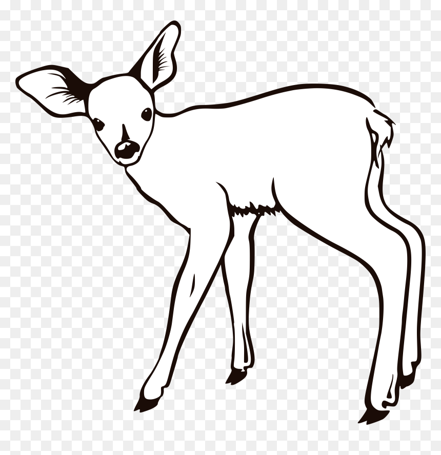 Deer Clipart Fawn - Deer Outline, HD Png Download - fawn png