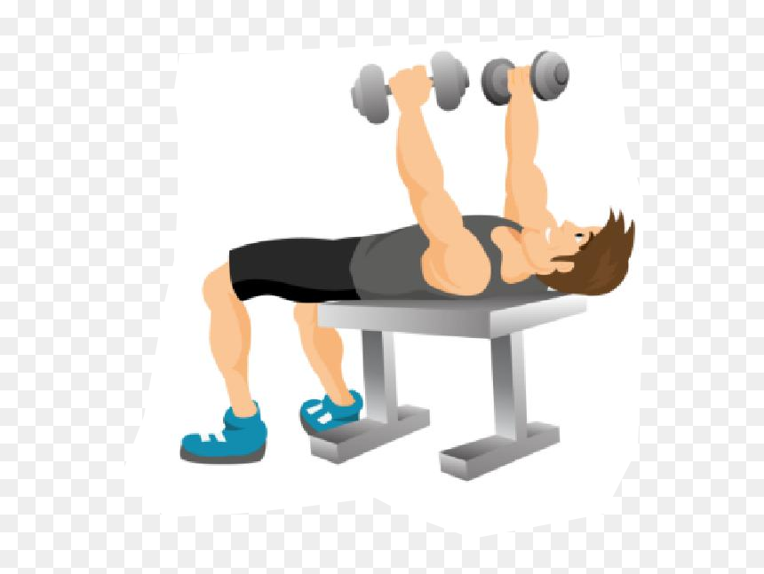Transparent Dumbbell Clipart Png - Dumbbell Clipart, Png Download - dumbbell clipart png
