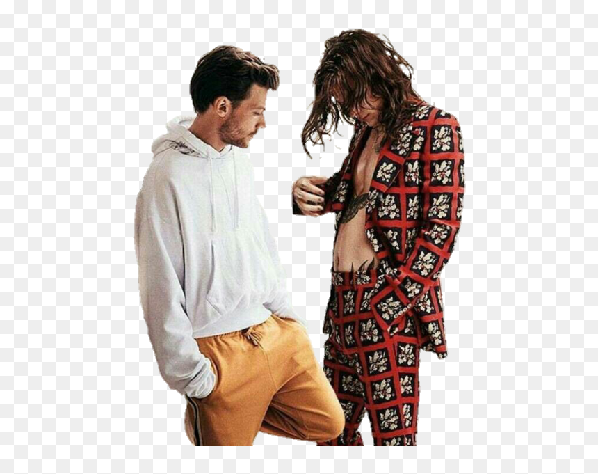 #louistomlinson #louis #png #zainmalik #liampayne #larryisreal - Willy Vanderperre Harry Styles, Transparent Png - louis tomlinson png