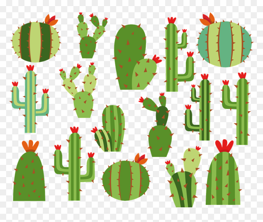 Cactus, HD Png Download - nopal png