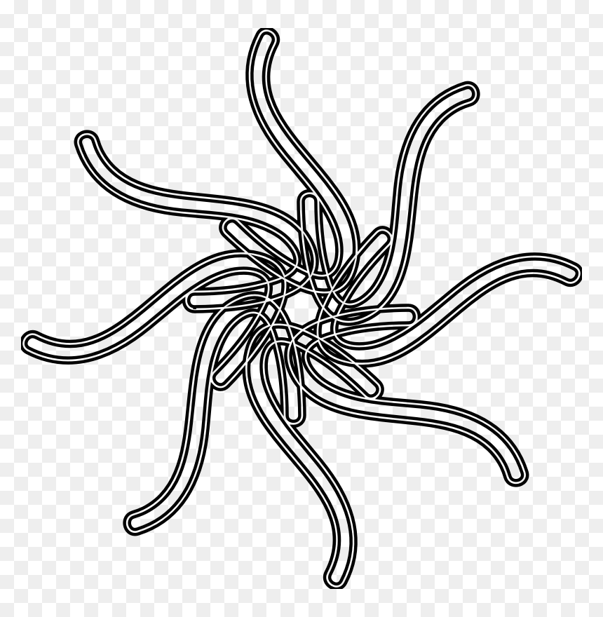 Elaborate Sun Drawing - Elaborate Drawing, HD Png Download - sun drawing png