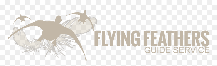 Flying Feathers Guide Service - Illustration, HD Png Download - duck hunt duck png