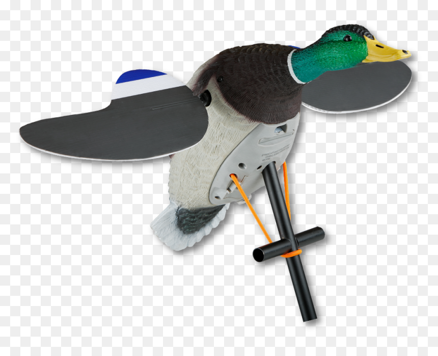 Image Of The Lucky Duck Junior - Lucky Duck Junior 2, HD Png Download - duck hunt duck png