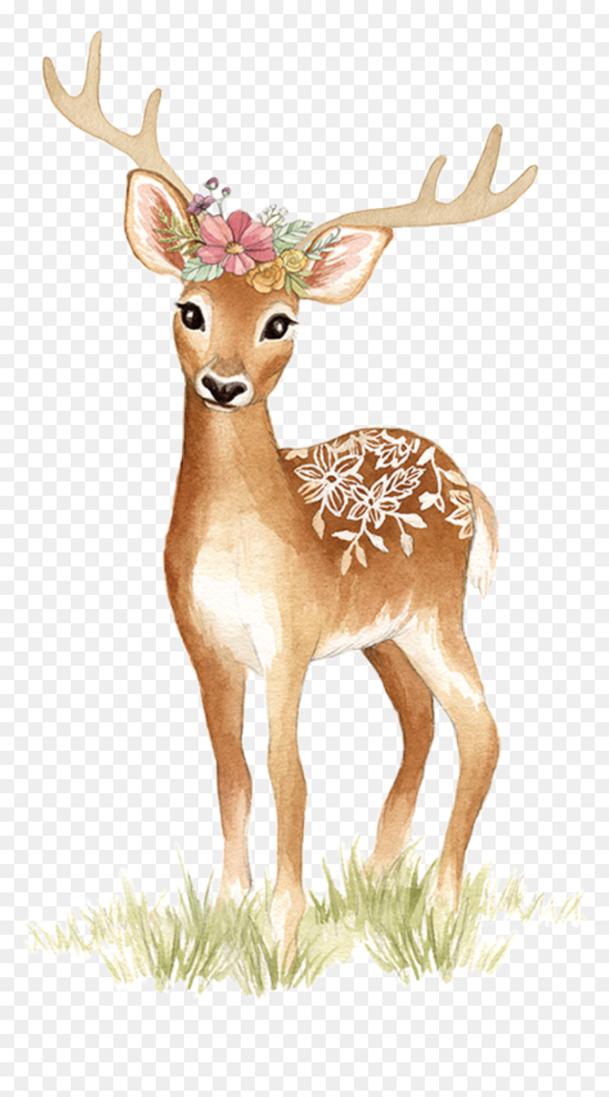#watercolor #deer #doe #fawn #tattoo #floral #flowers, HD Png Download - fawn png