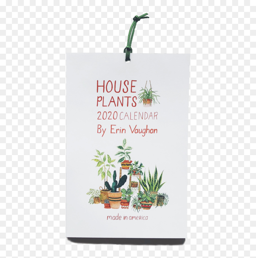 2020 Front Houseplants, HD Png Download - indoor plant png