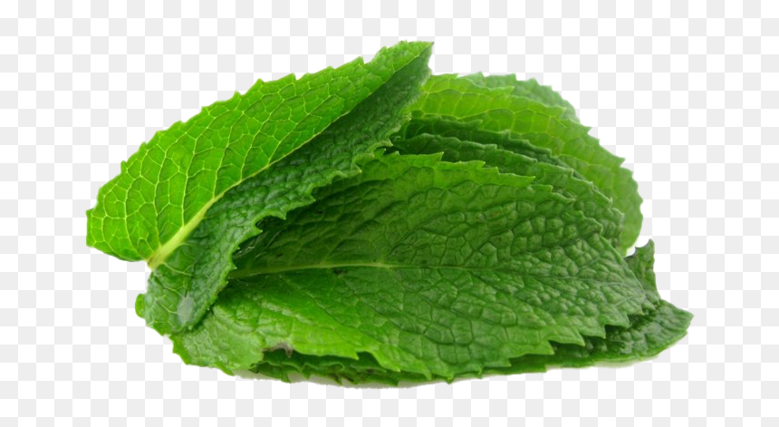 Mint Leaves Png Mint, Transparent Png - plant clipart png