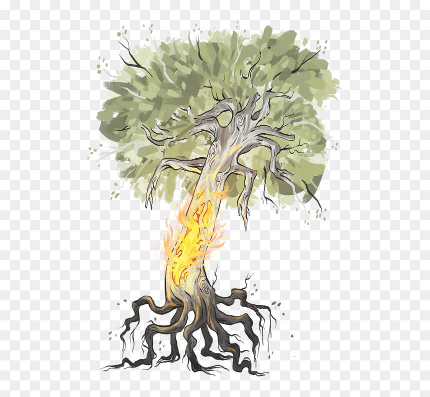 Illustration, HD Png Download - tree bark png