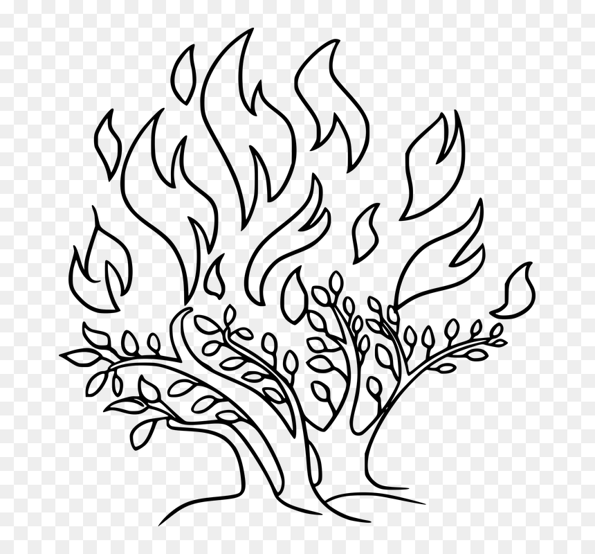 Burning Bush Clip Art, HD Png Download - fire drawing png