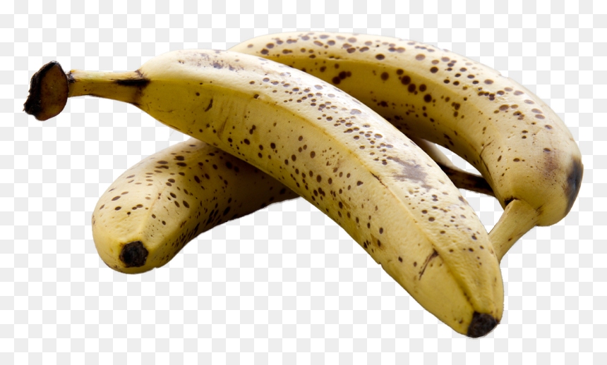 Bananas Transparent Ripe - Banana Used For Banana Cake, HD Png Download - banana.png