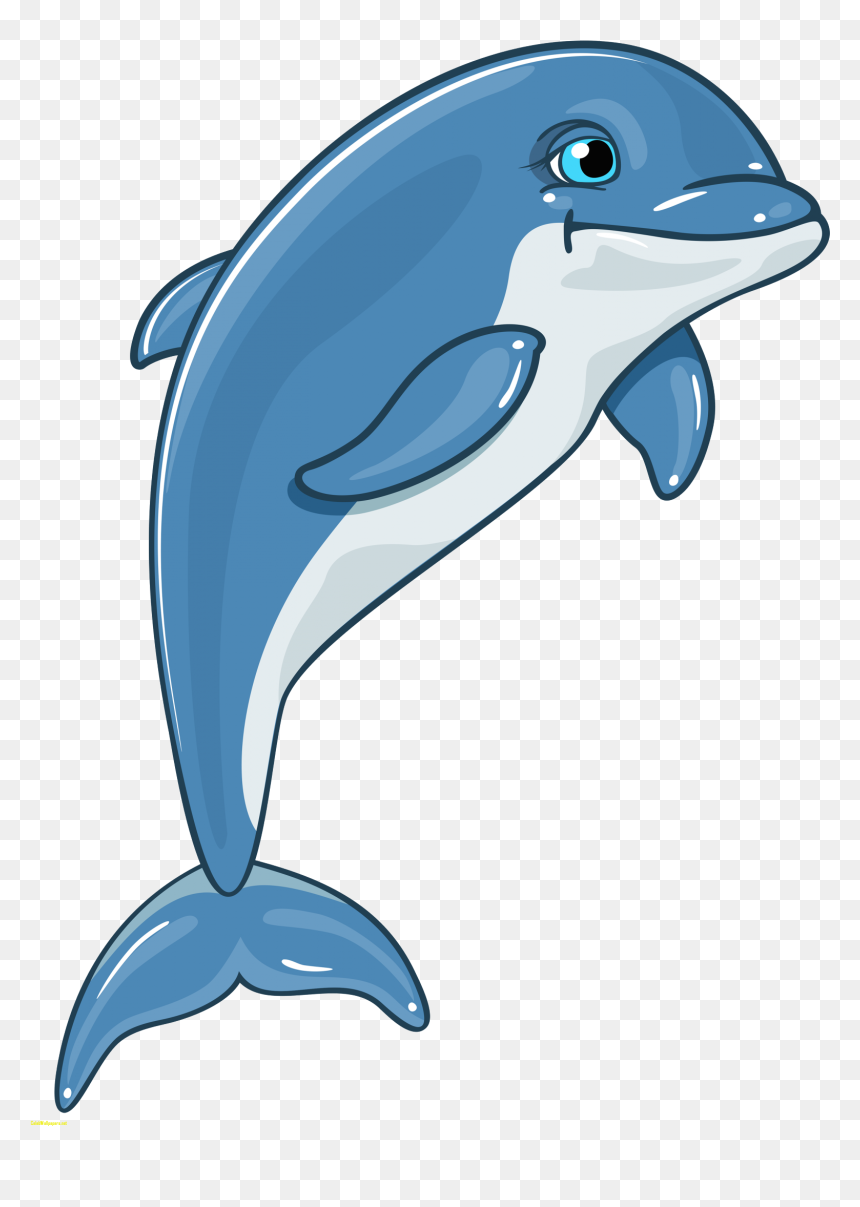 Dolphines Clipart Florida - Dolphin Png, Transparent Png - florida clipart png