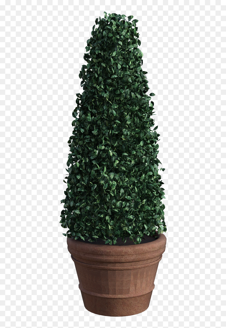 Christmas Tree, HD Png Download - topiary png